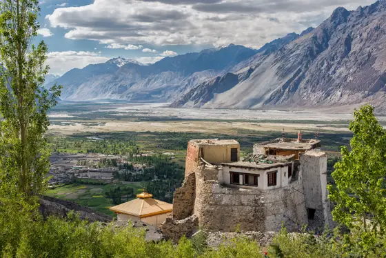 Historic Ladakhi architecture above a green valley floor